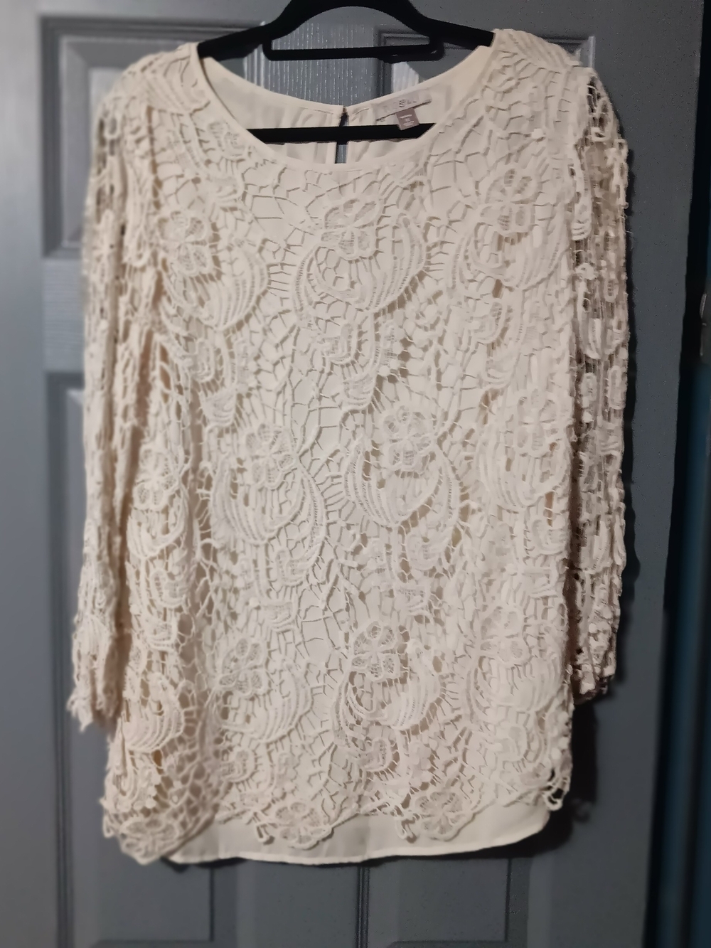 Roz & Ali Cream Lace Overlay Blouse
